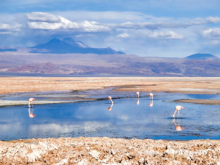 Los Flamencos National Reserve Chile los-flamencos-national-reserve-chile